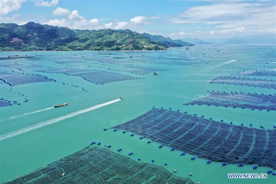 海南卓越生物水产药品有哪些