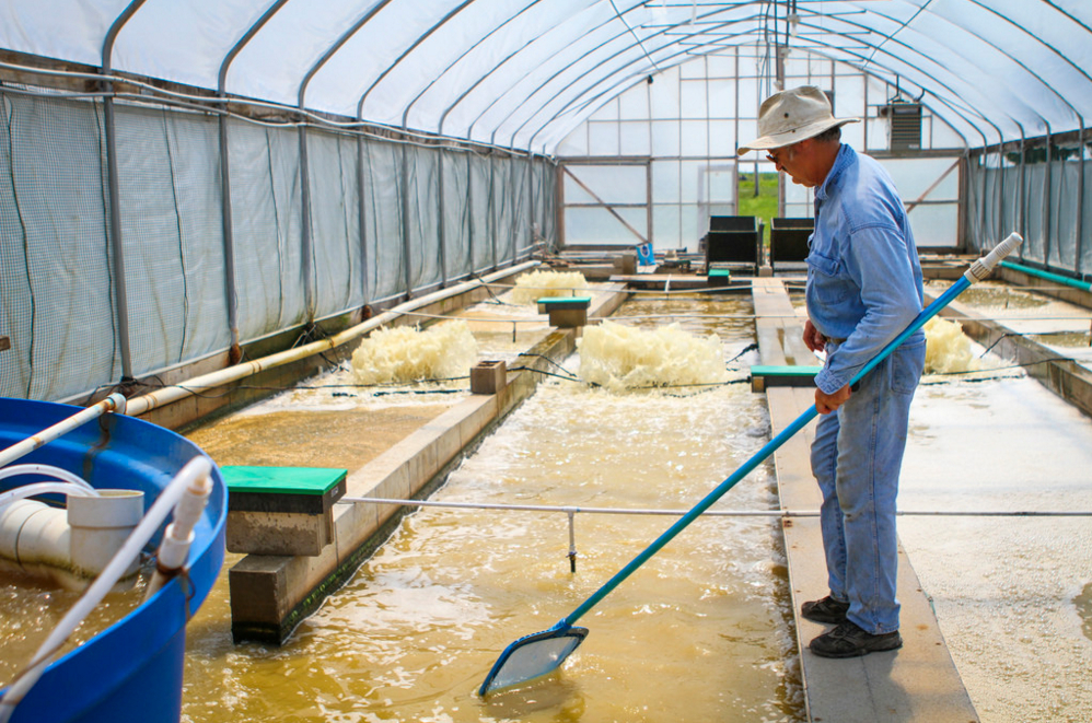 水产养殖技术员招聘