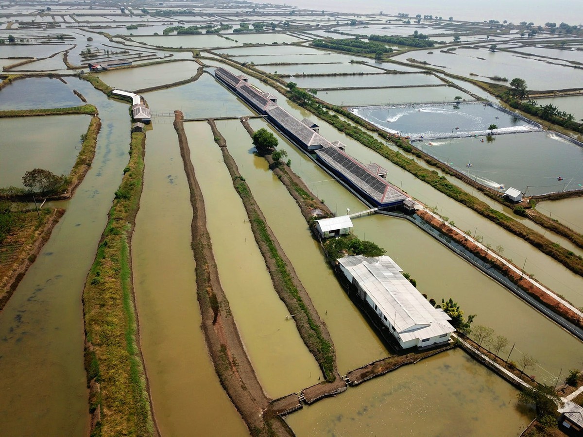 东营水产养殖基地