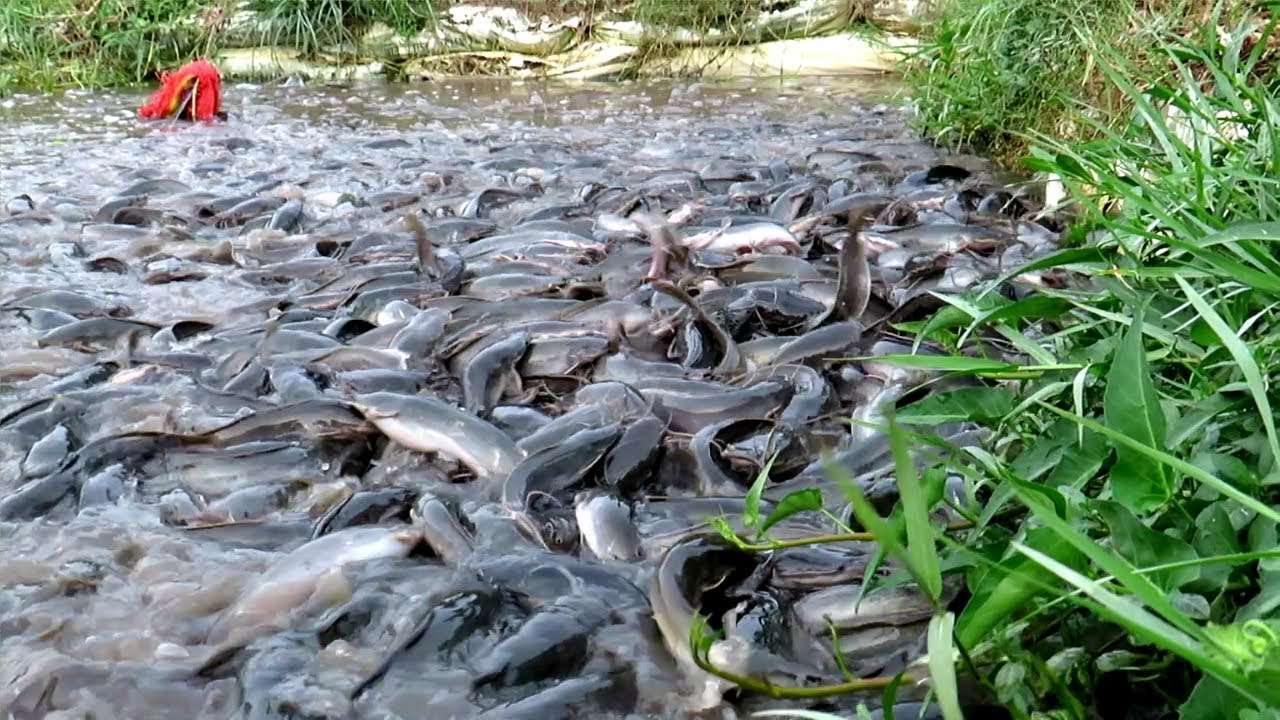 邵阳水产养殖闸门