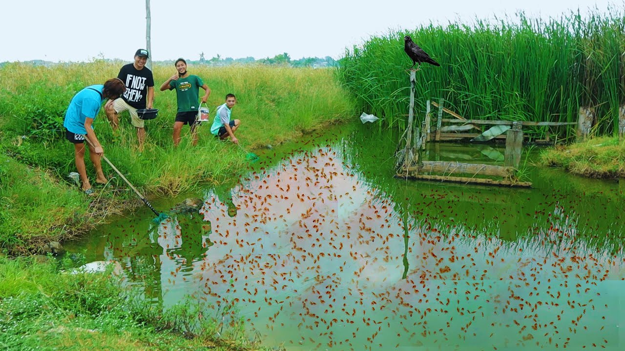 水产养殖专业英语词汇