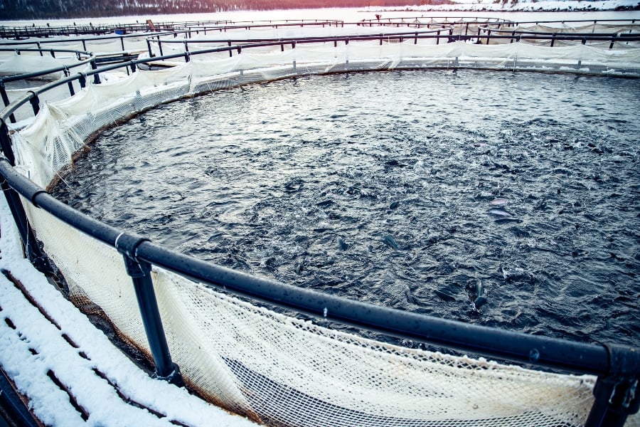 水产养殖总硬度标准