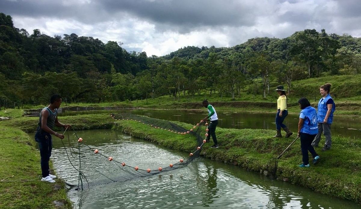 海南水产养殖公司